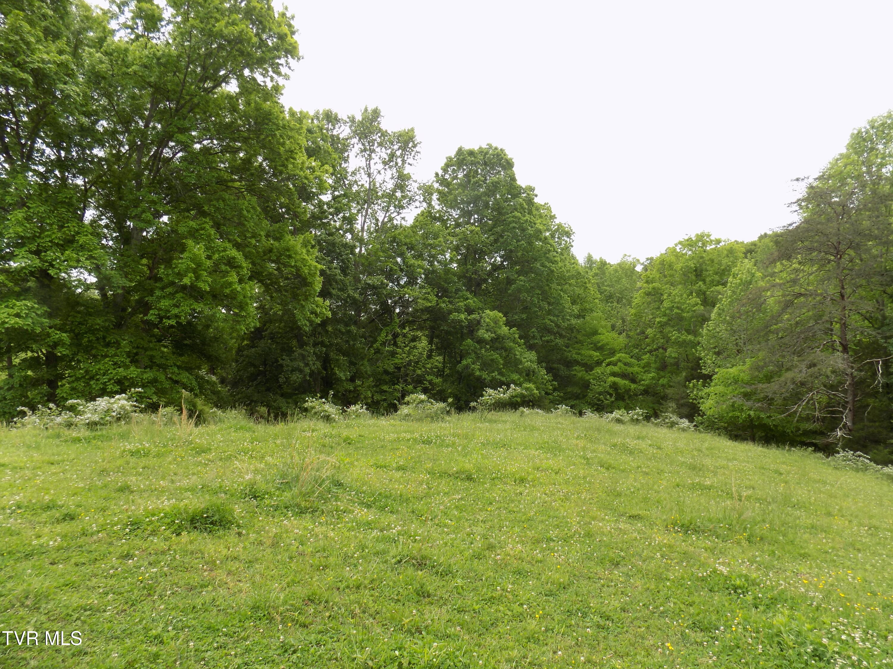 179 Sutton Hollow Road, Sneedville, Tennessee image 19