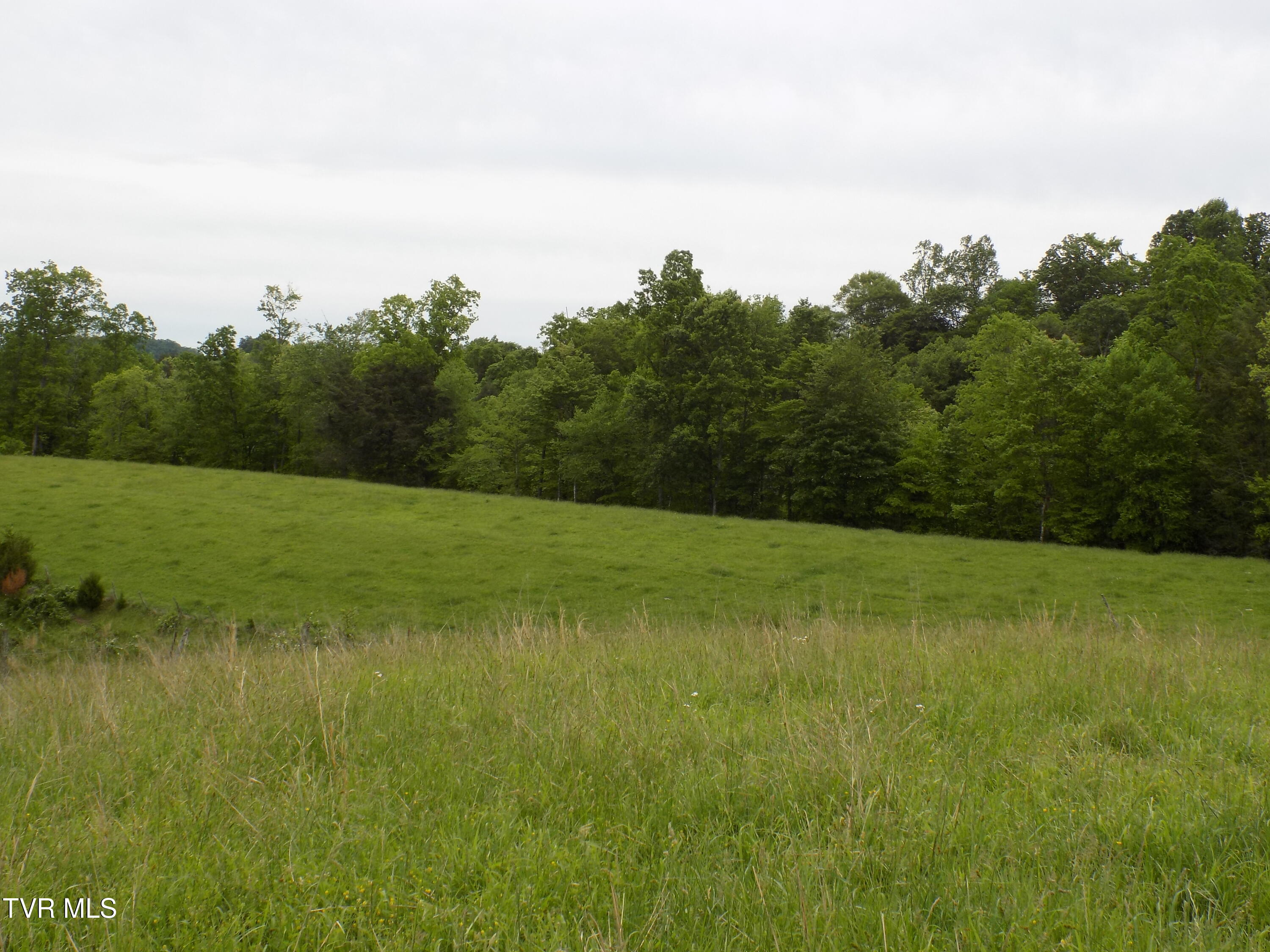 179 Sutton Hollow Road, Sneedville, Tennessee image 26