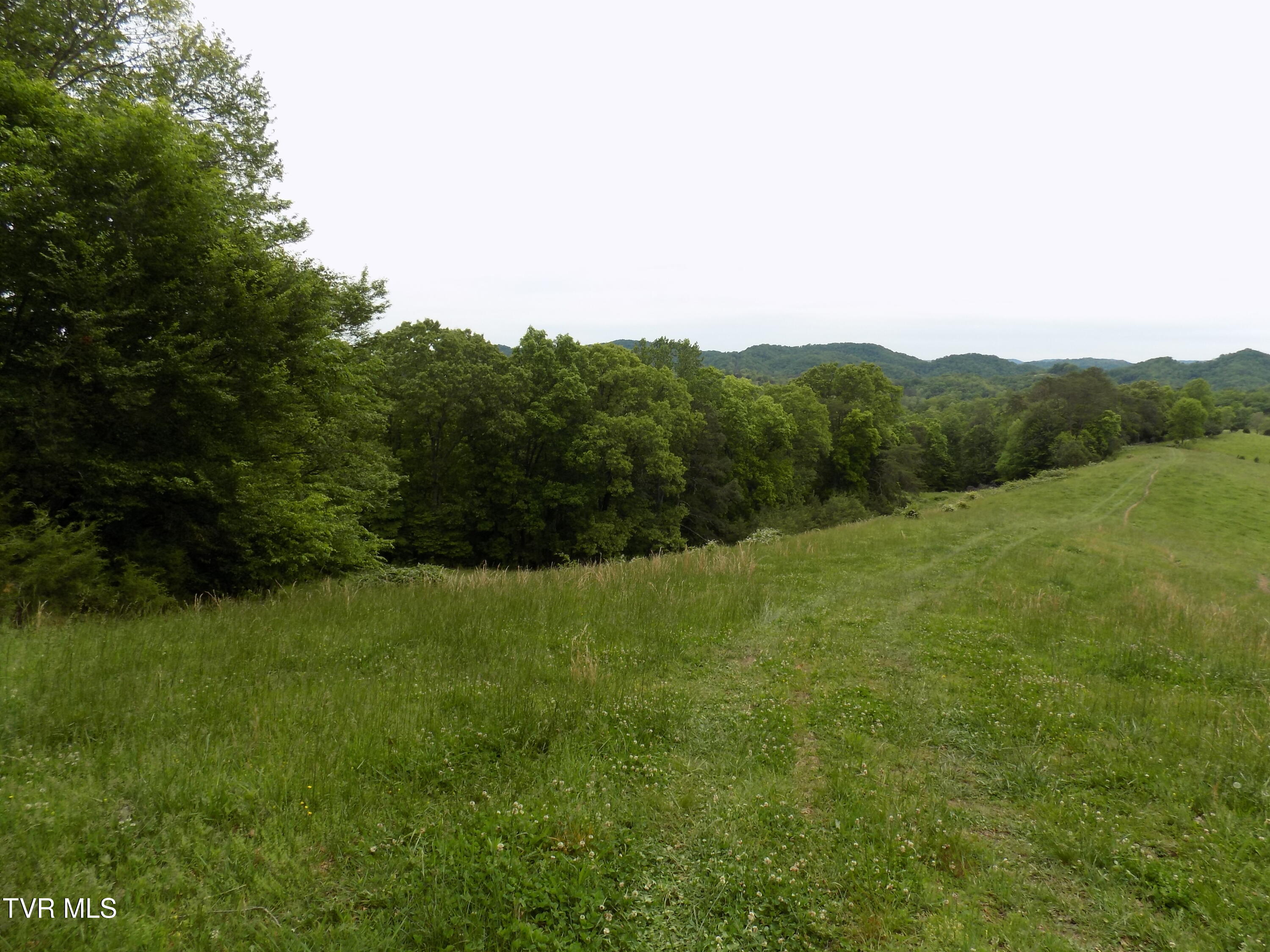 179 Sutton Hollow Road, Sneedville, Tennessee image 21