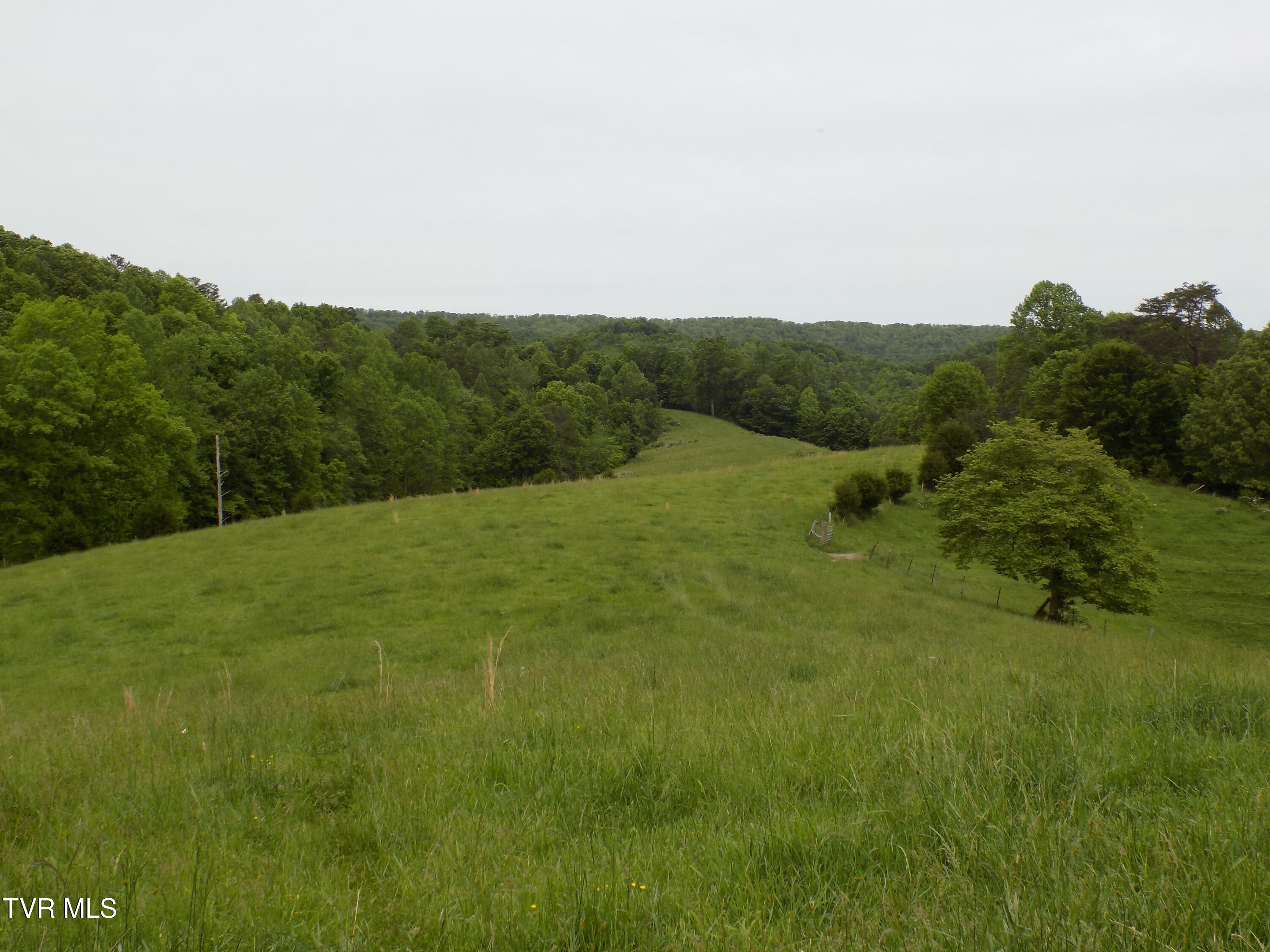 179 Sutton Hollow Road, Sneedville, Tennessee image 29