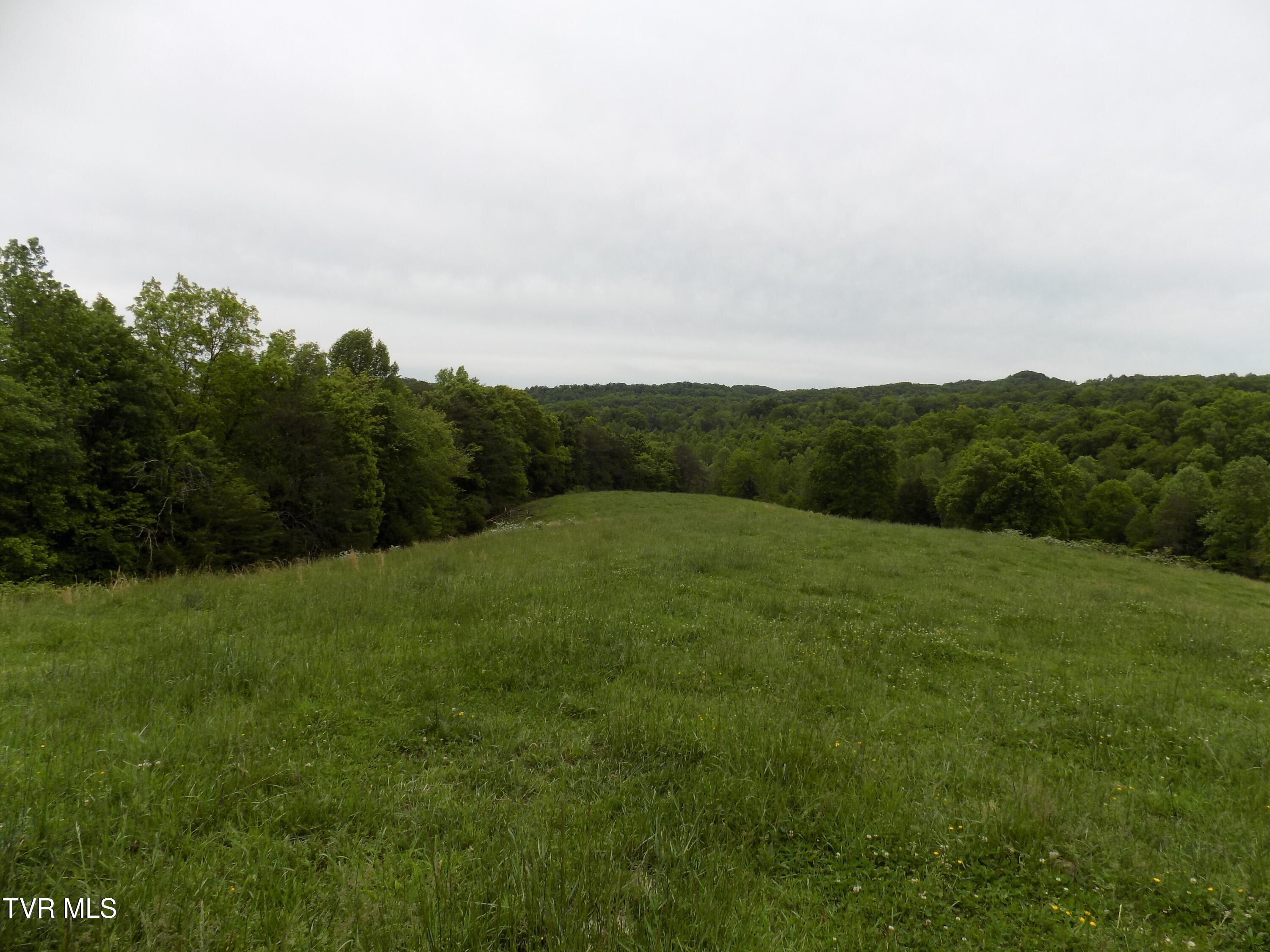 179 Sutton Hollow Road, Sneedville, Tennessee image 15