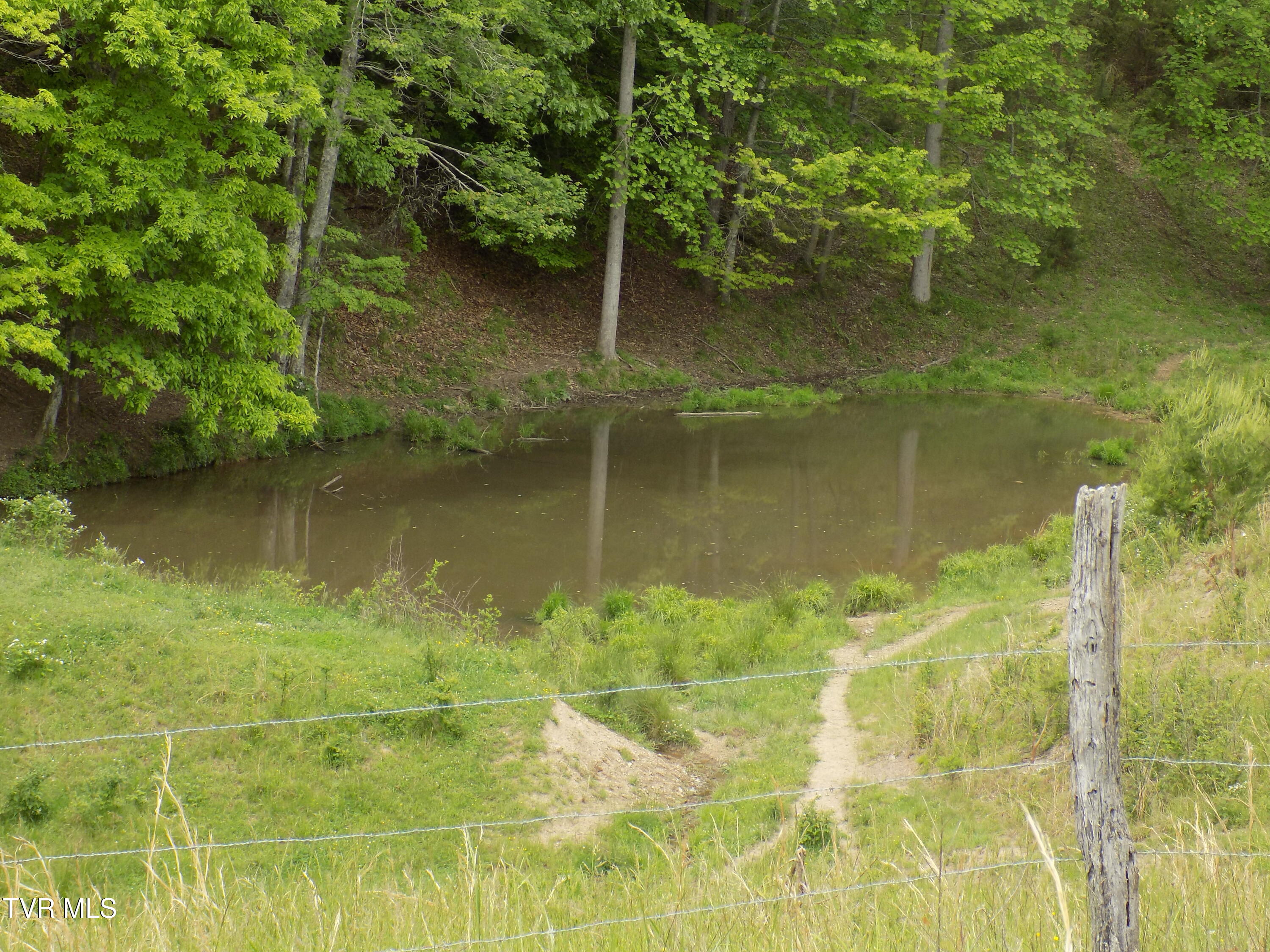 179 Sutton Hollow Road, Sneedville, Tennessee image 32