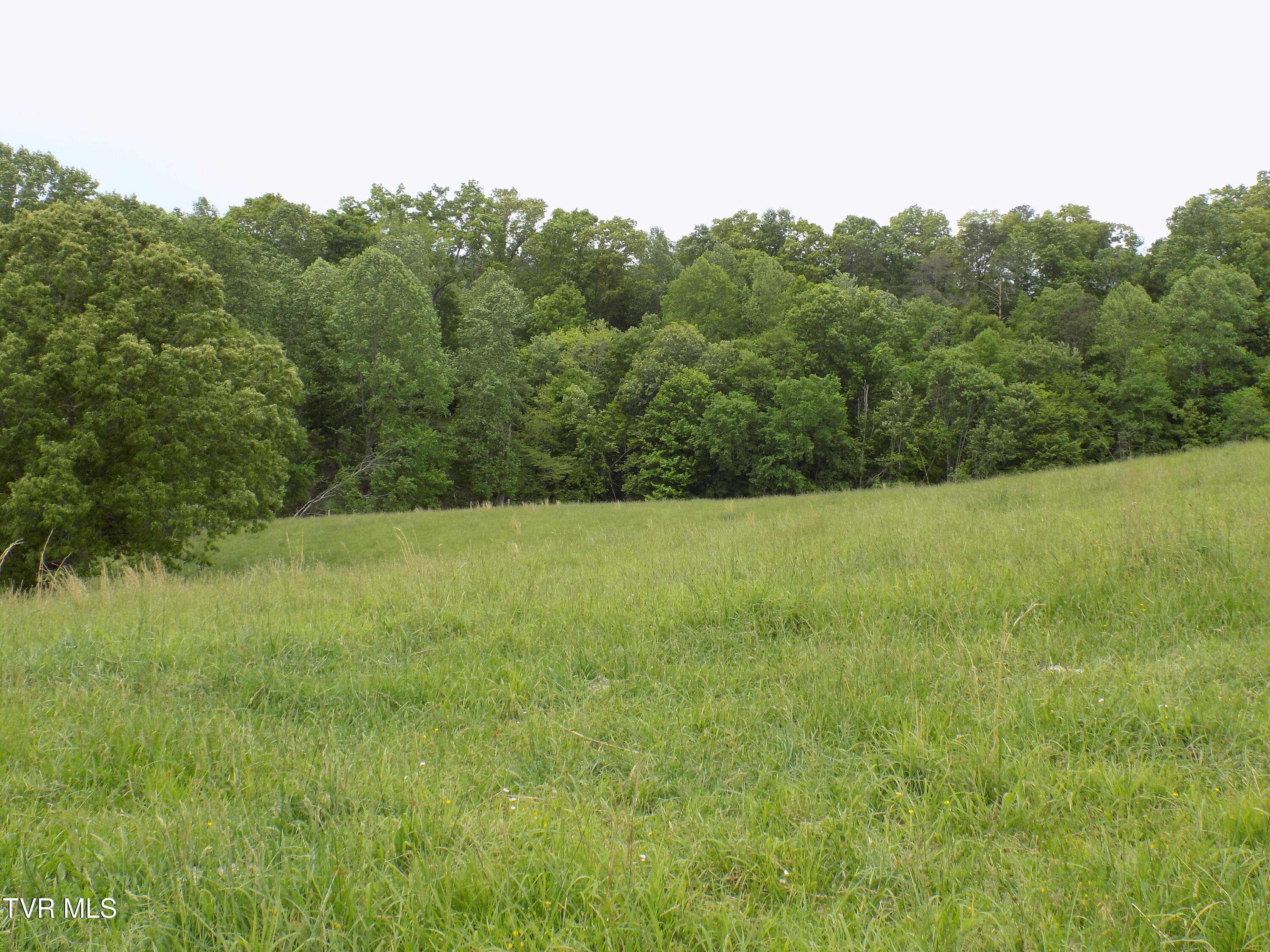 179 Sutton Hollow Road, Sneedville, Tennessee image 27