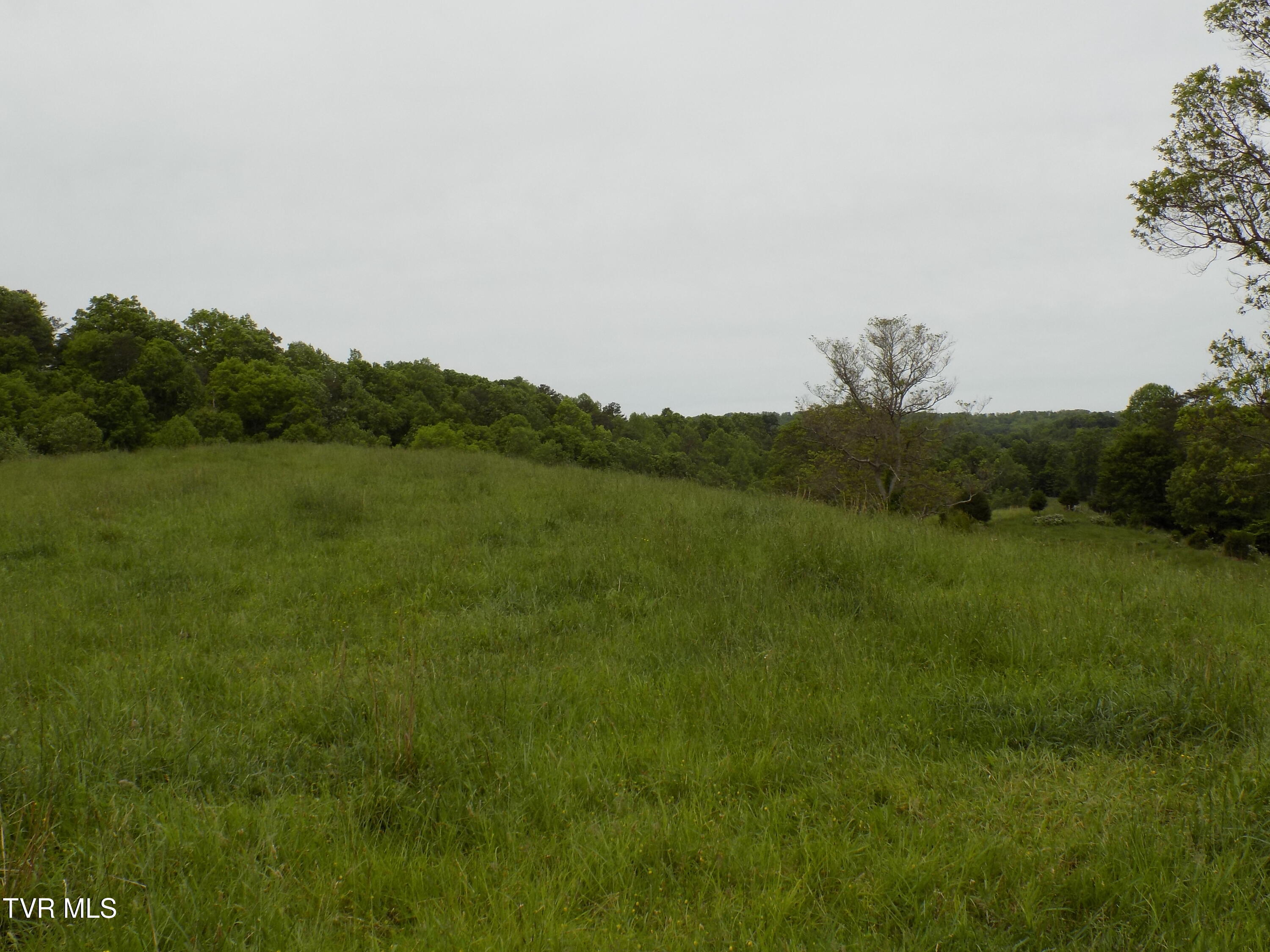 179 Sutton Hollow Road, Sneedville, Tennessee image 28