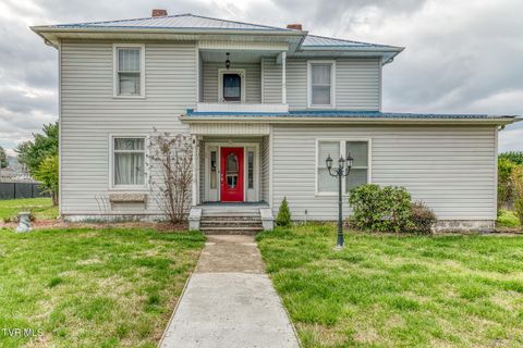 Photo of 440 Love Street, Erwin, TN 37650 (MLS # 9993046)