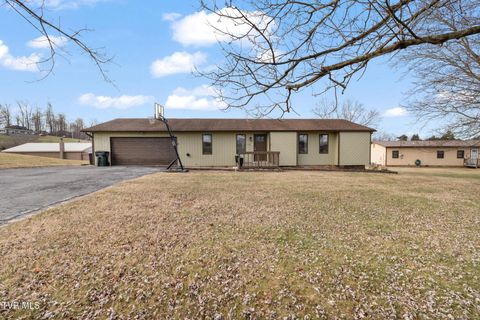 Photo of 1105 Harmony Road, Jonesborough, TN 37659 (MLS # 9990510)