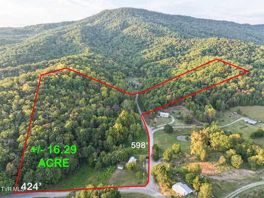 19 NEWTON SLAGLE LN, GREENEVILLE, TN 37745 - Image e25dfefbb07921fd9466dd368f7a8e2e/193837150