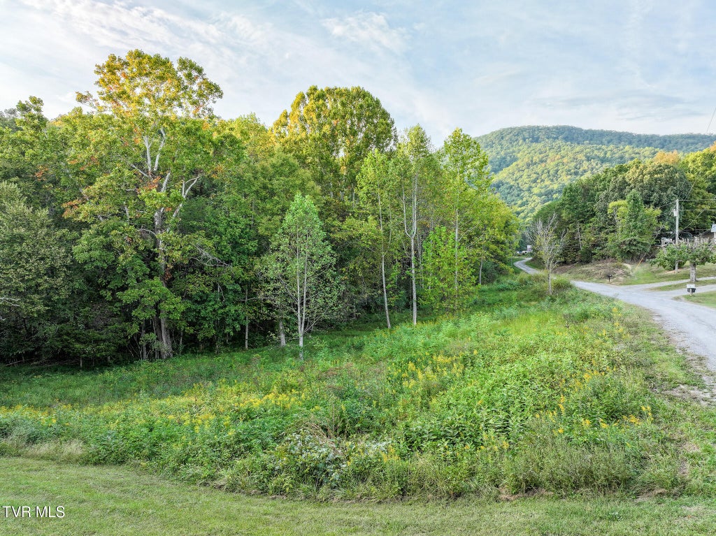 Photo of 19 Newton Slagle Lane, Greeneville, TN 37745 (MLS # 10001752)