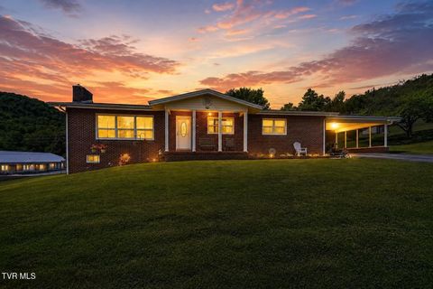 Photo of 169 Sue Street, Gate City, VA 24251 (MLS # 9995505)