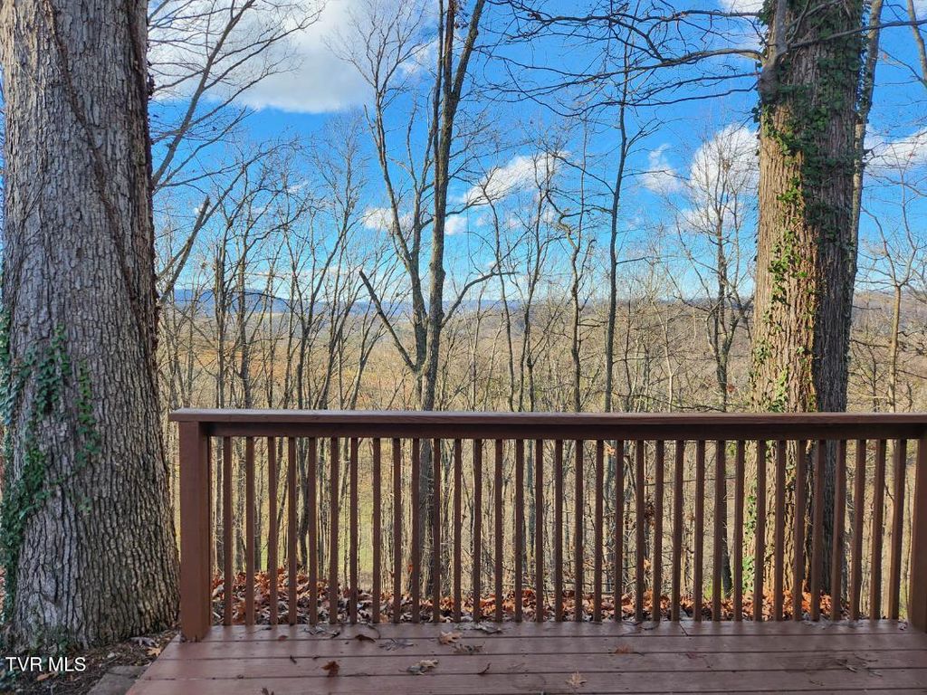 Photo of 524 Haven Drive, Kingsport, TN 37663 (MLS # 9988770)