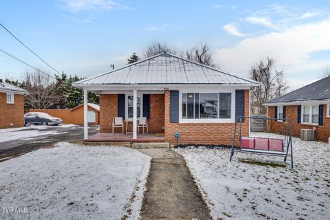 Photo of 910 Birch Street, Kingsport, TN 37664 (MLS # 9990937)