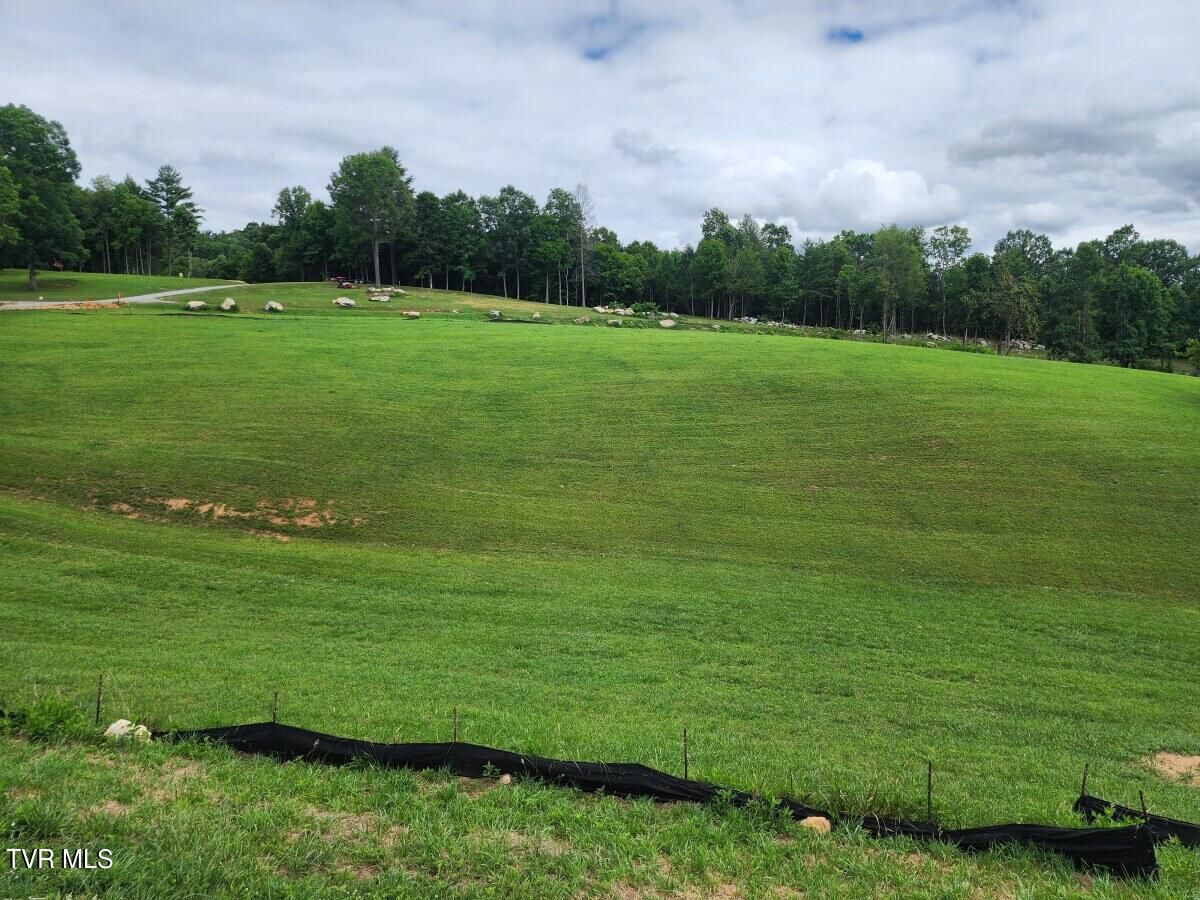 Lot 25 Draft Road, Butler, Tennessee image 6