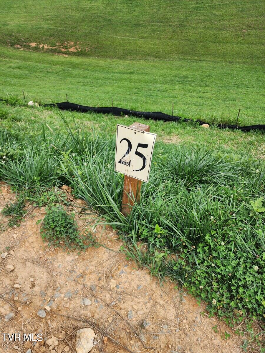 Lot 25 Draft Road, Butler, Tennessee image 2