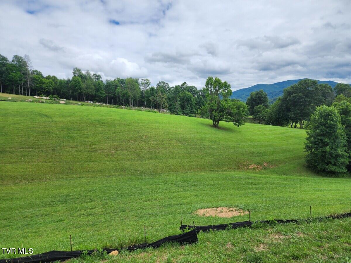 Lot 25 Draft Road, Butler, Tennessee image 5