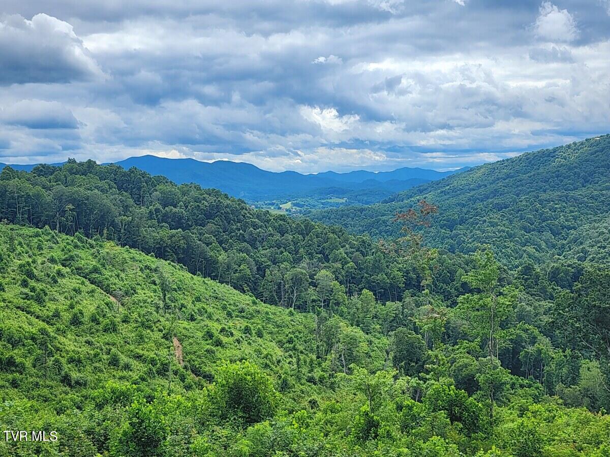 Lot 25 Draft Road, Butler, Tennessee image 8