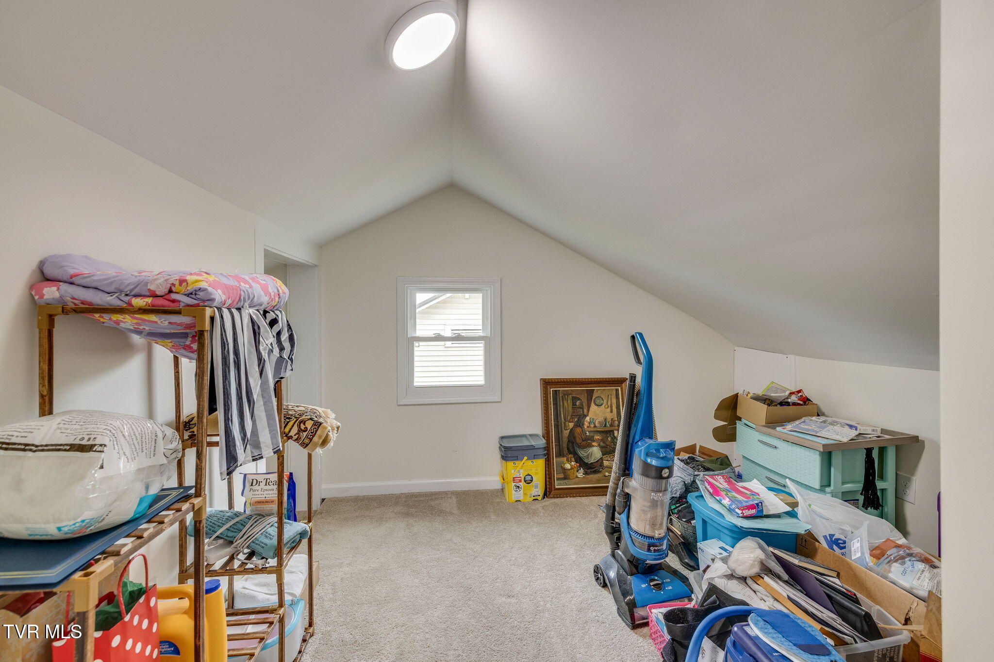 718 Wilson Avenue, Johnson City, Tennessee image 20