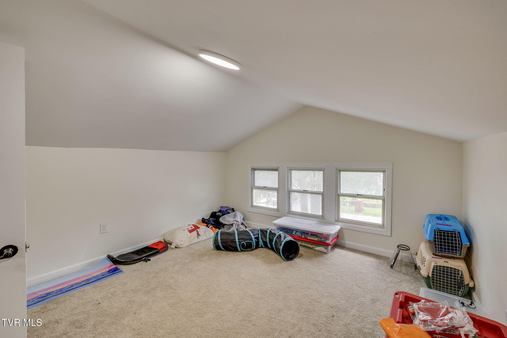 718 Wilson Avenue, Johnson City, Tennessee image 21