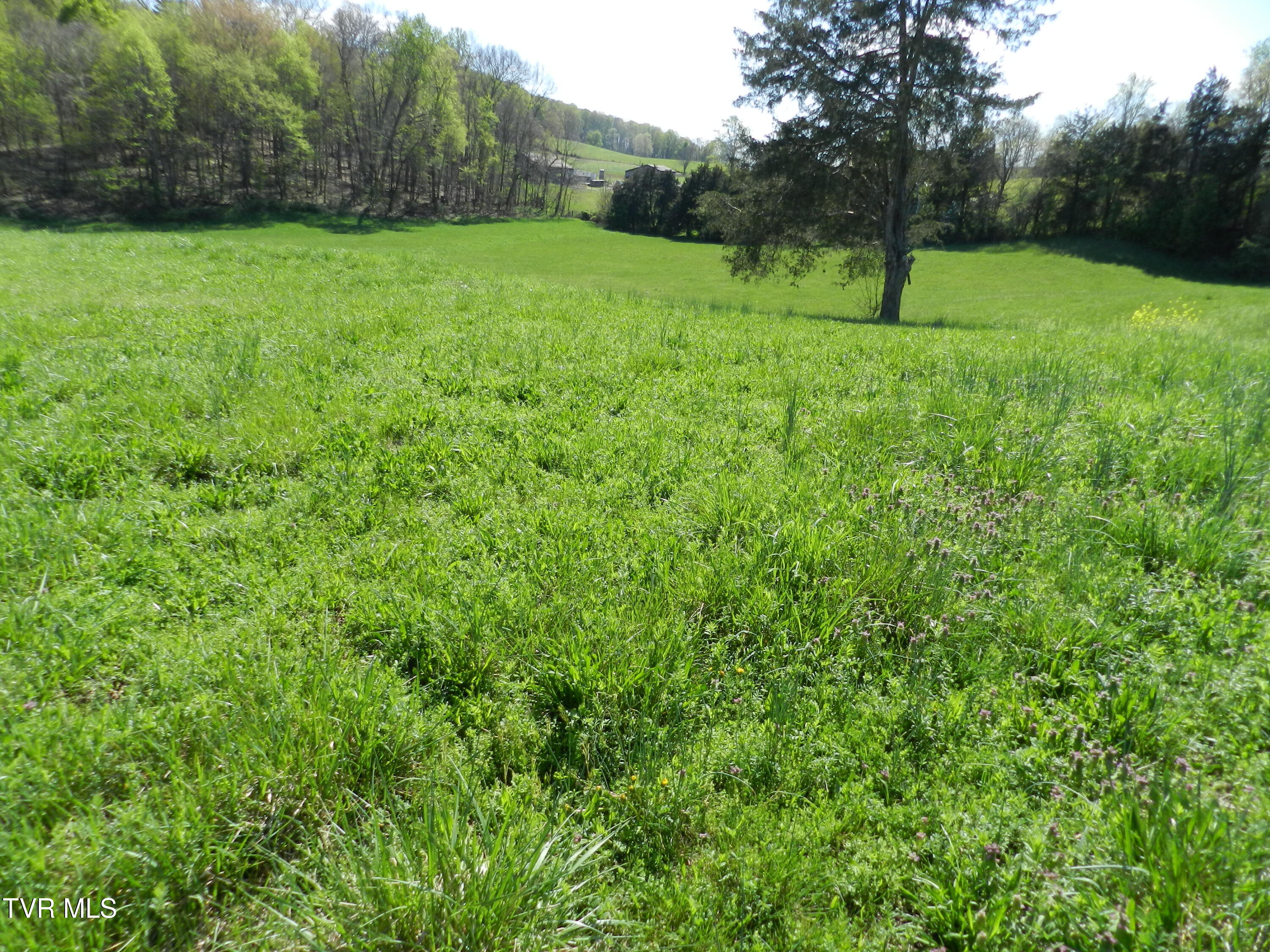 14930 Kingsport Highway, Chuckey, Tennessee image 39