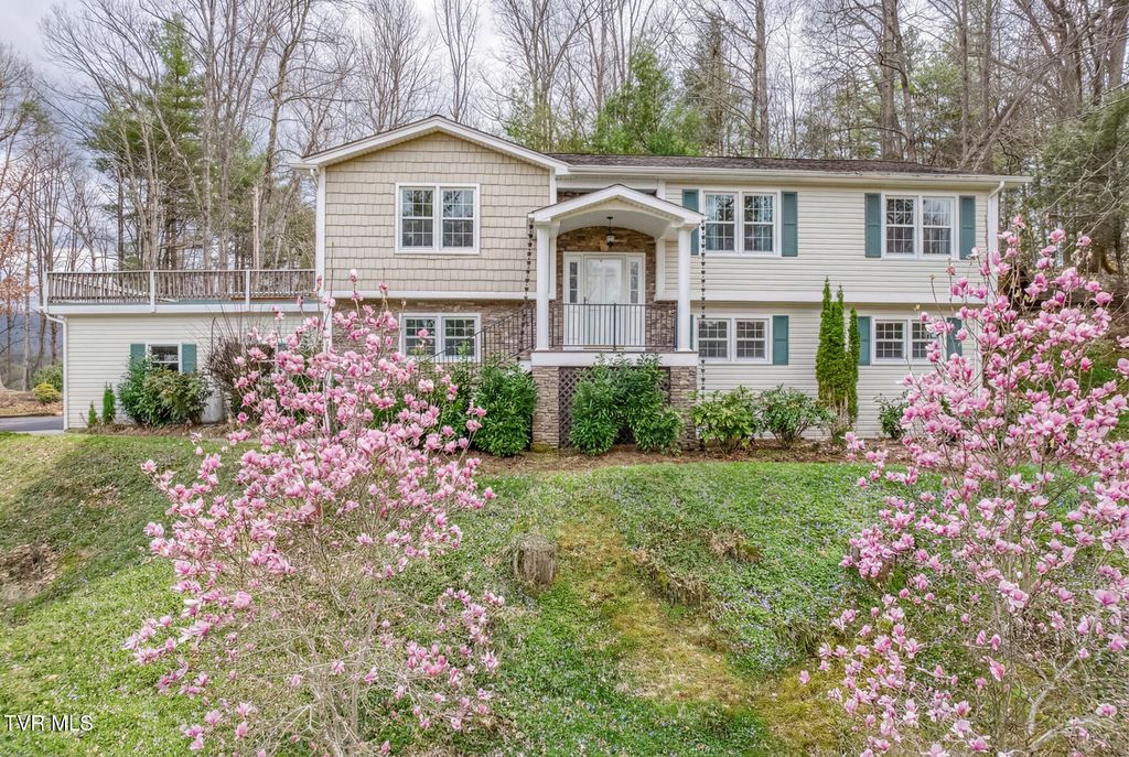 Photo of 580 Cedar Street, Mountain City, TN 37683 (MLS # 9993537)