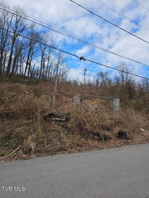 Vacant Land For Sale - 307 11th Street<br/> Wise County, Norton, VA 24273