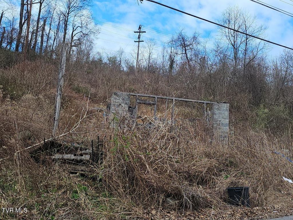 Photo of 307 11th Street, Norton, VA 24273 (MLS # 9992202)