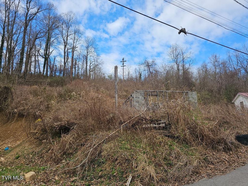 Photo of 307 11th Street, Norton, VA 24273 (MLS # 9992202)