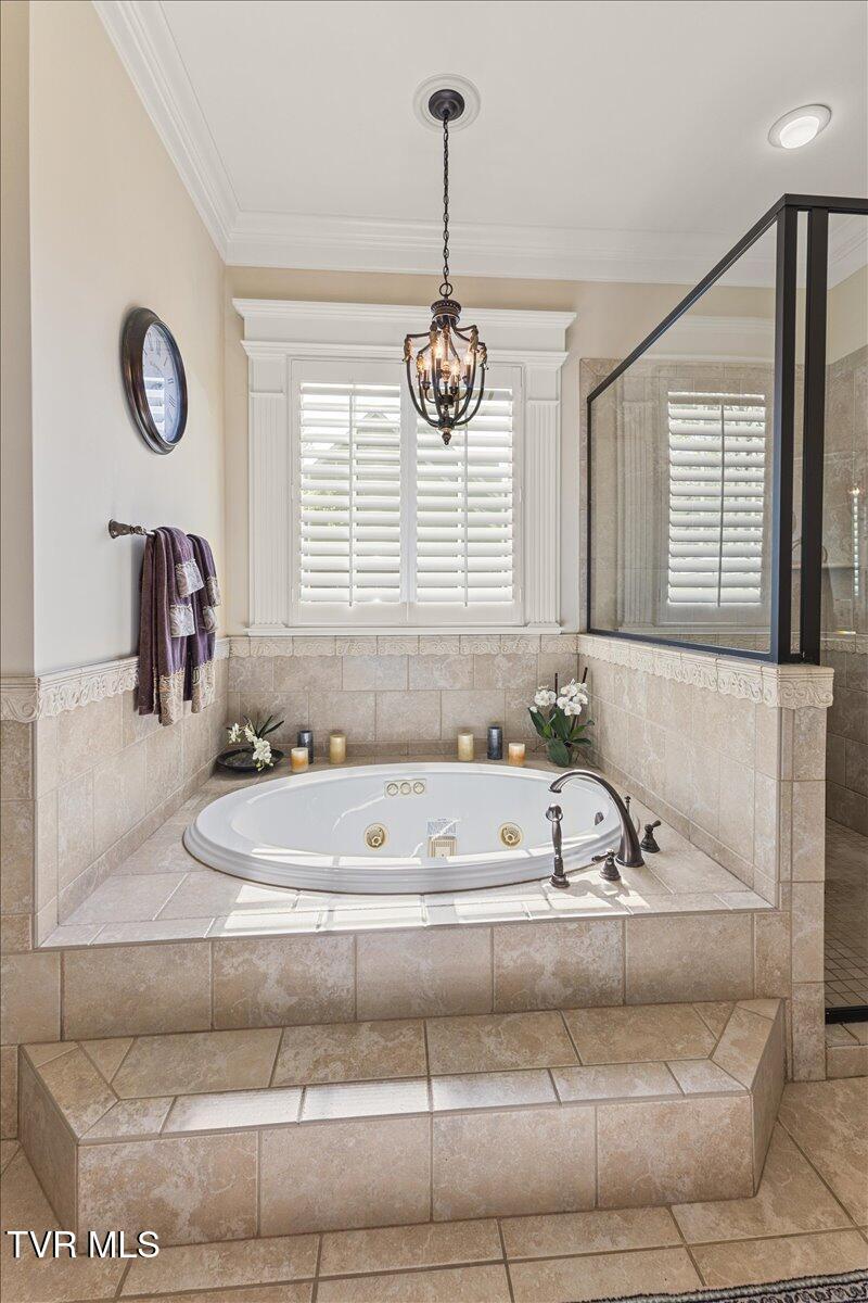 114 Highland Gate Drive, Johnson City, Tennessee image 44