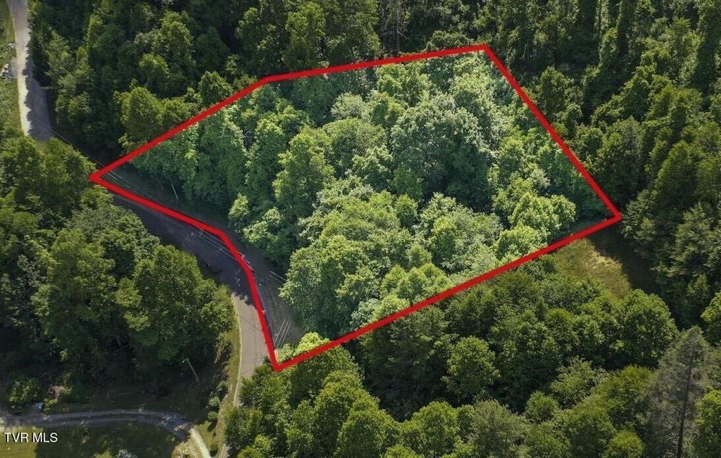 Photo of 7 Laurel Highlands Road #Lot 7, Roan Mountain, TN 37687 (MLS # 9993865)