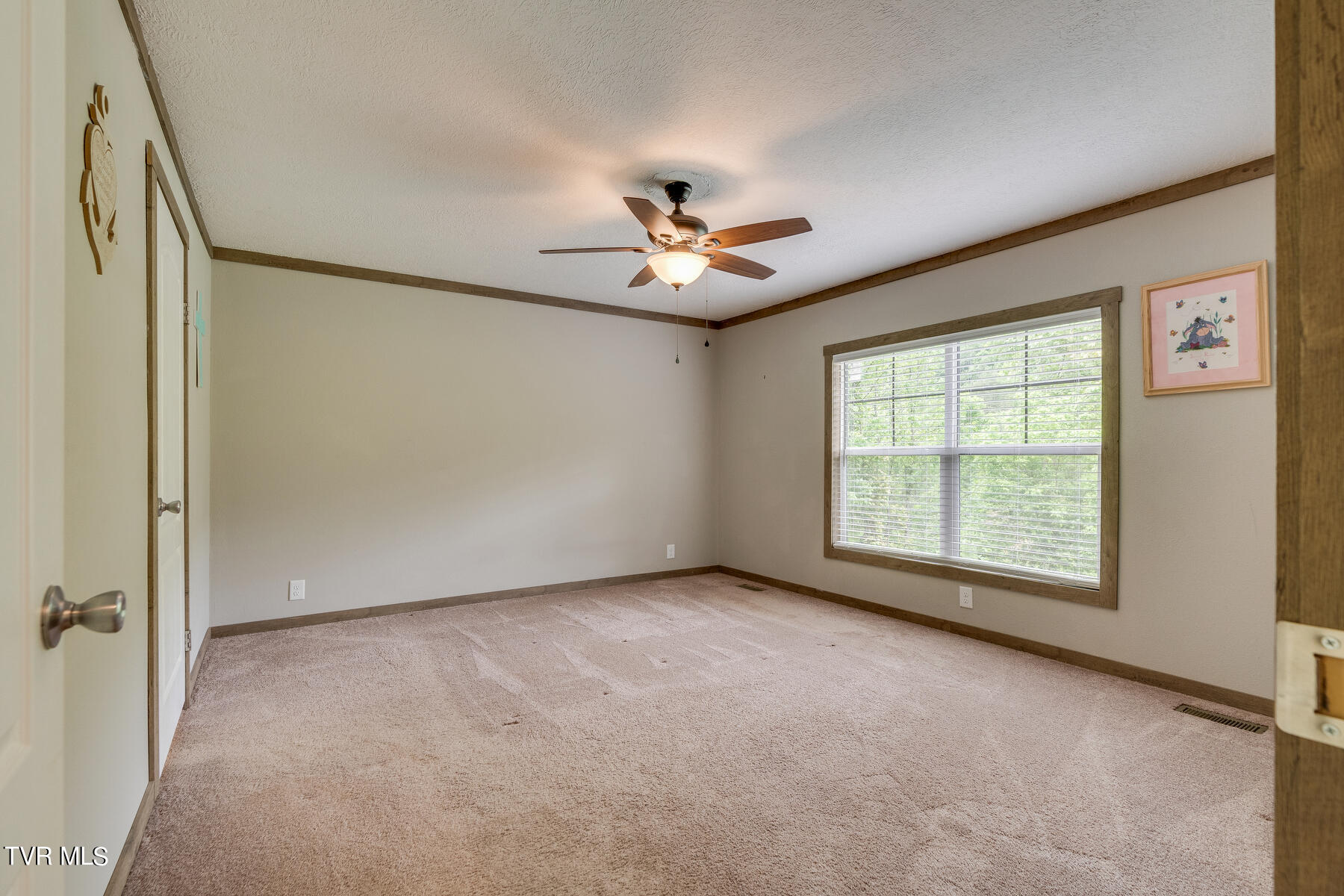 343 Butcher Valley Road Rd, Rogersville, Tennessee image 17