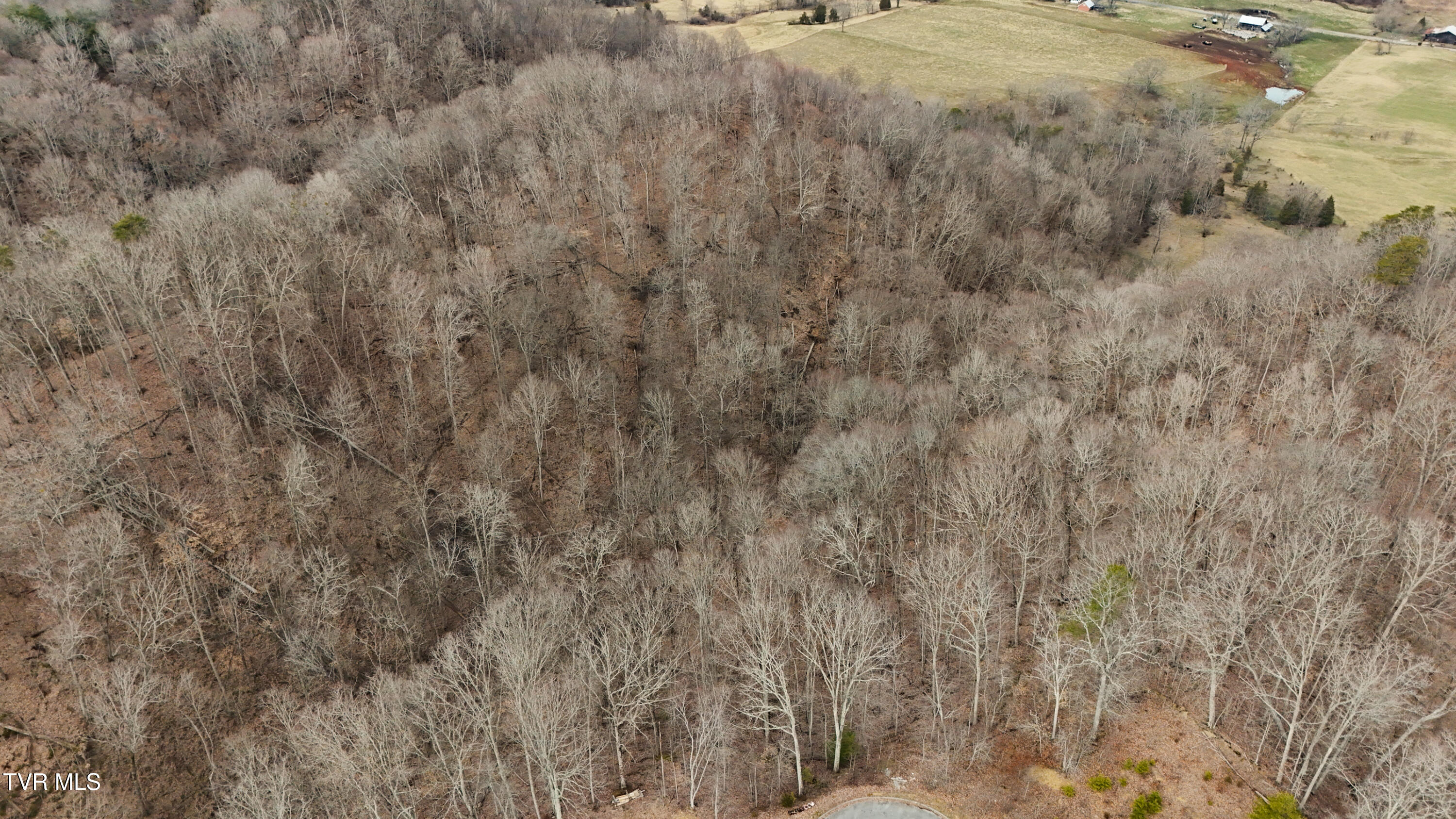 200-201 Fox Ridge Drive, Mount Carmel, Tennessee image 6