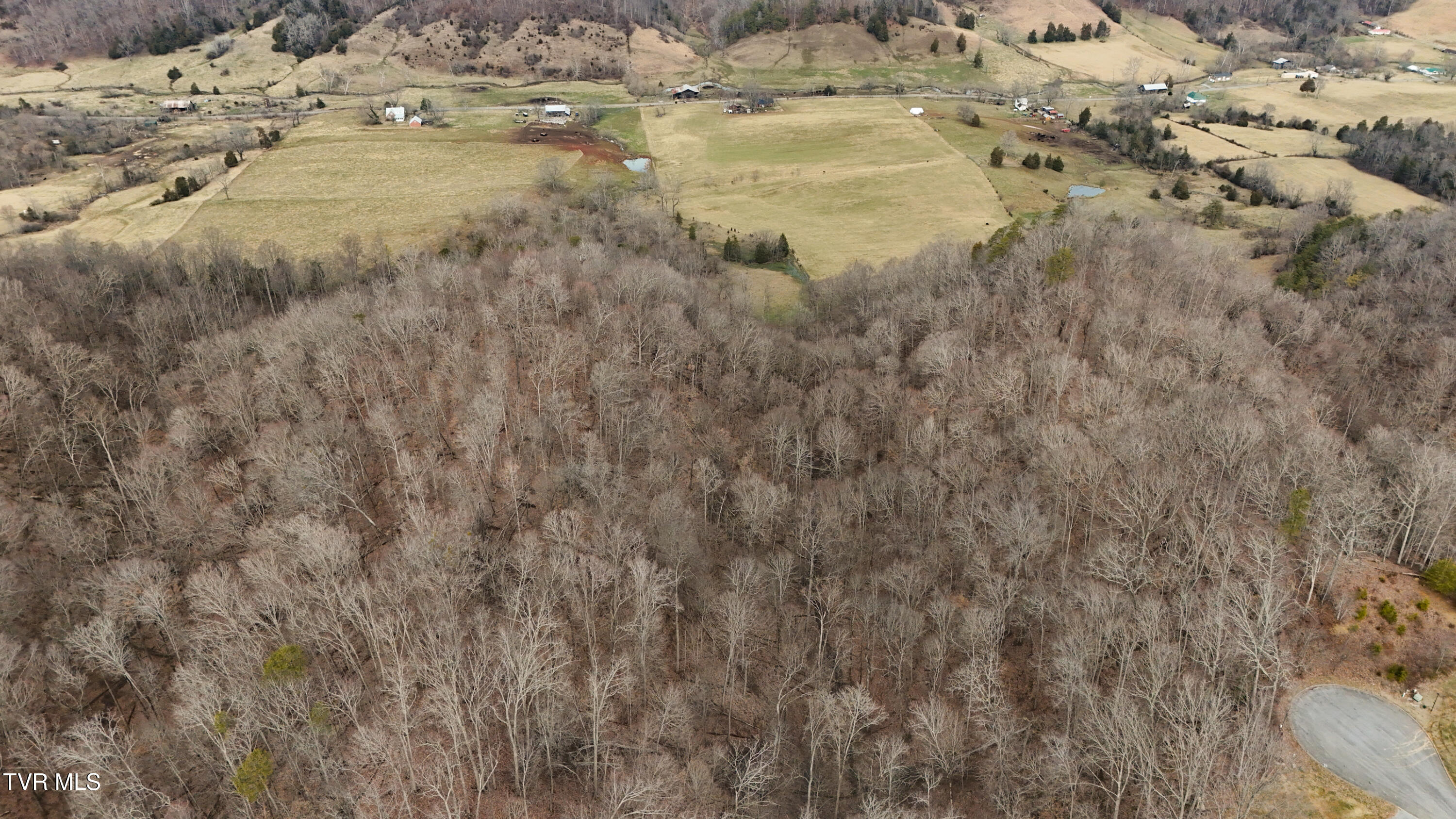 200-201 Fox Ridge Drive, Mount Carmel, Tennessee image 9