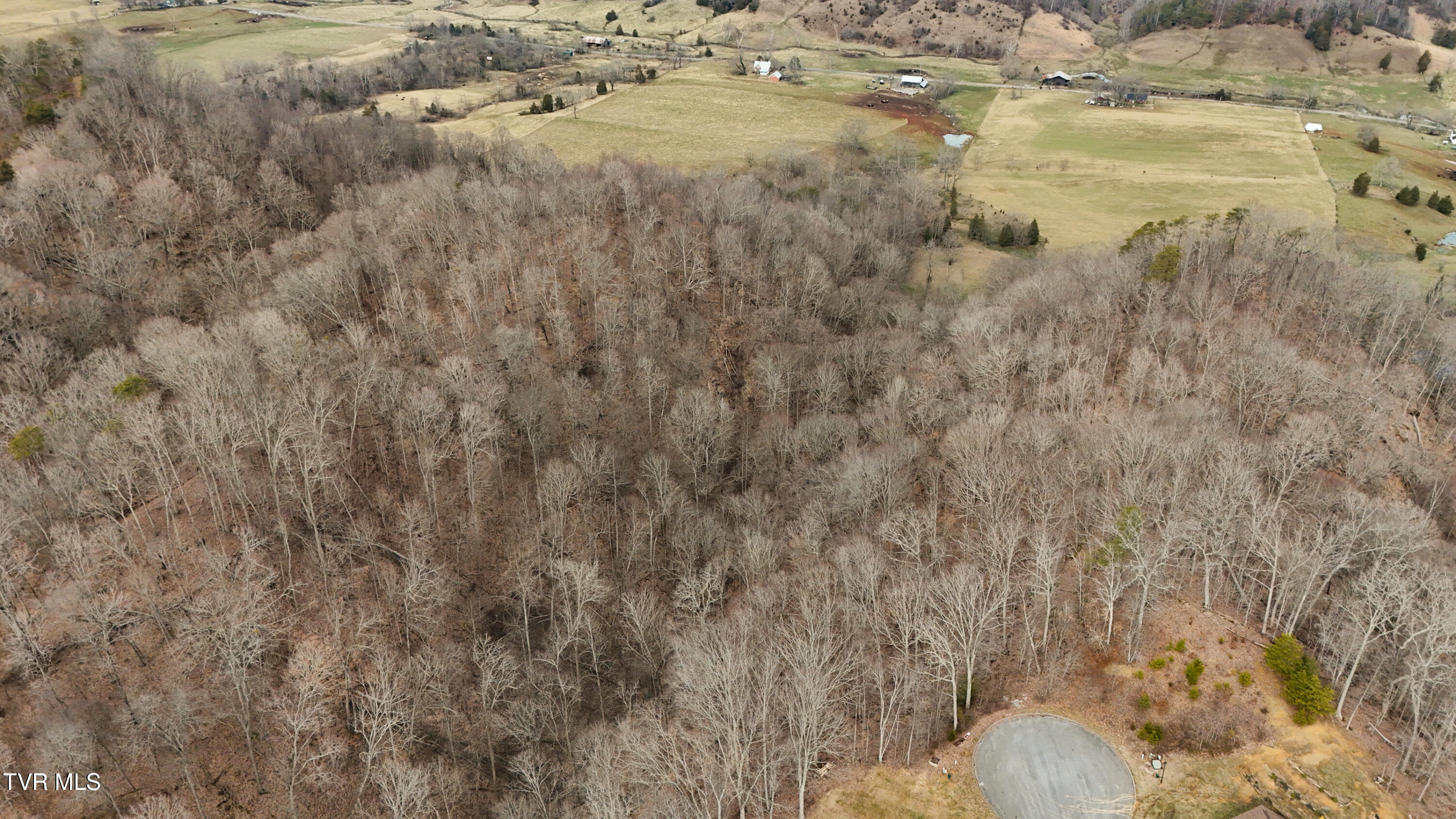 200-201 Fox Ridge Drive, Mount Carmel, Tennessee image 7