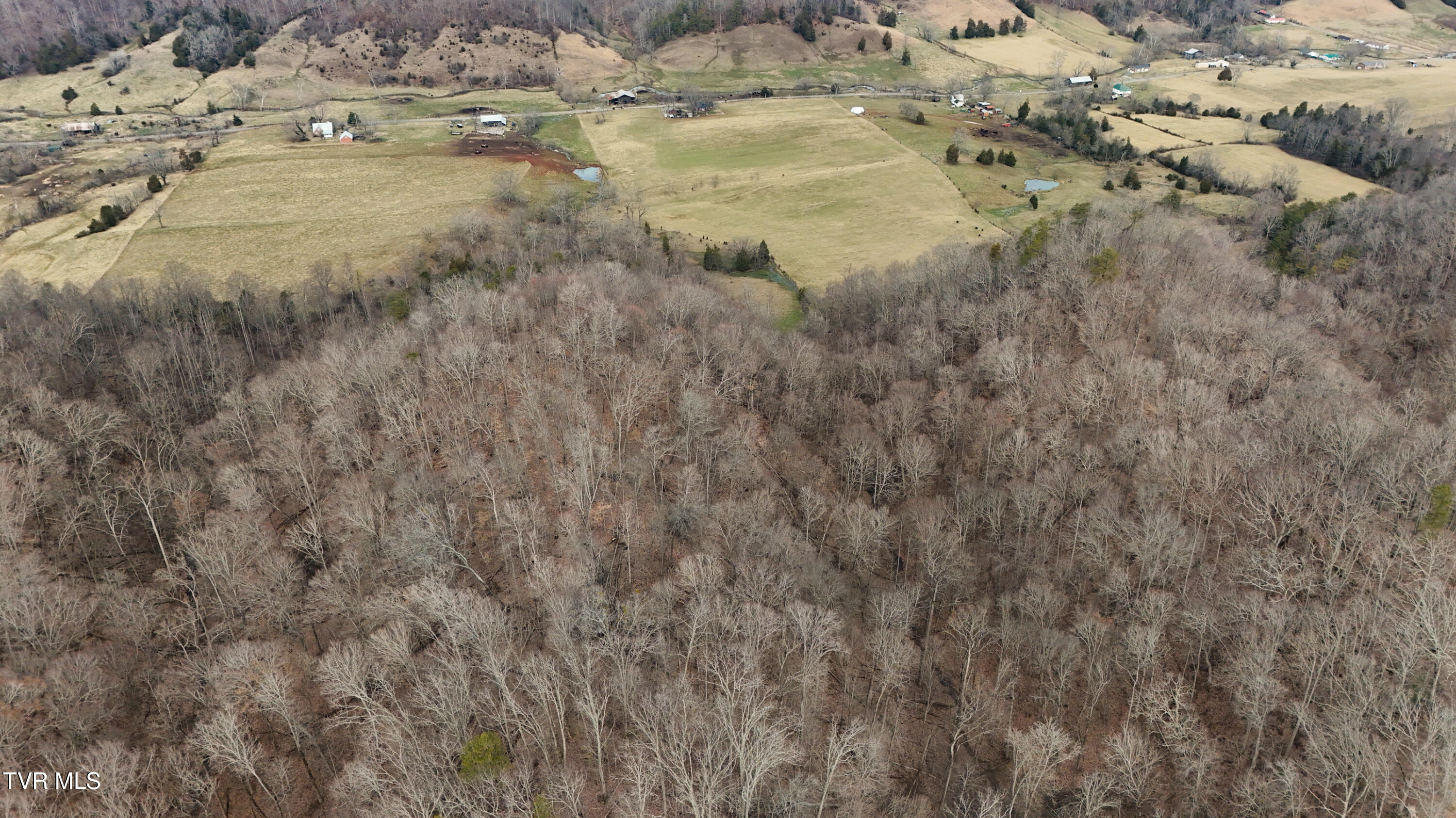 200-201 Fox Ridge Drive, Mount Carmel, Tennessee image 10