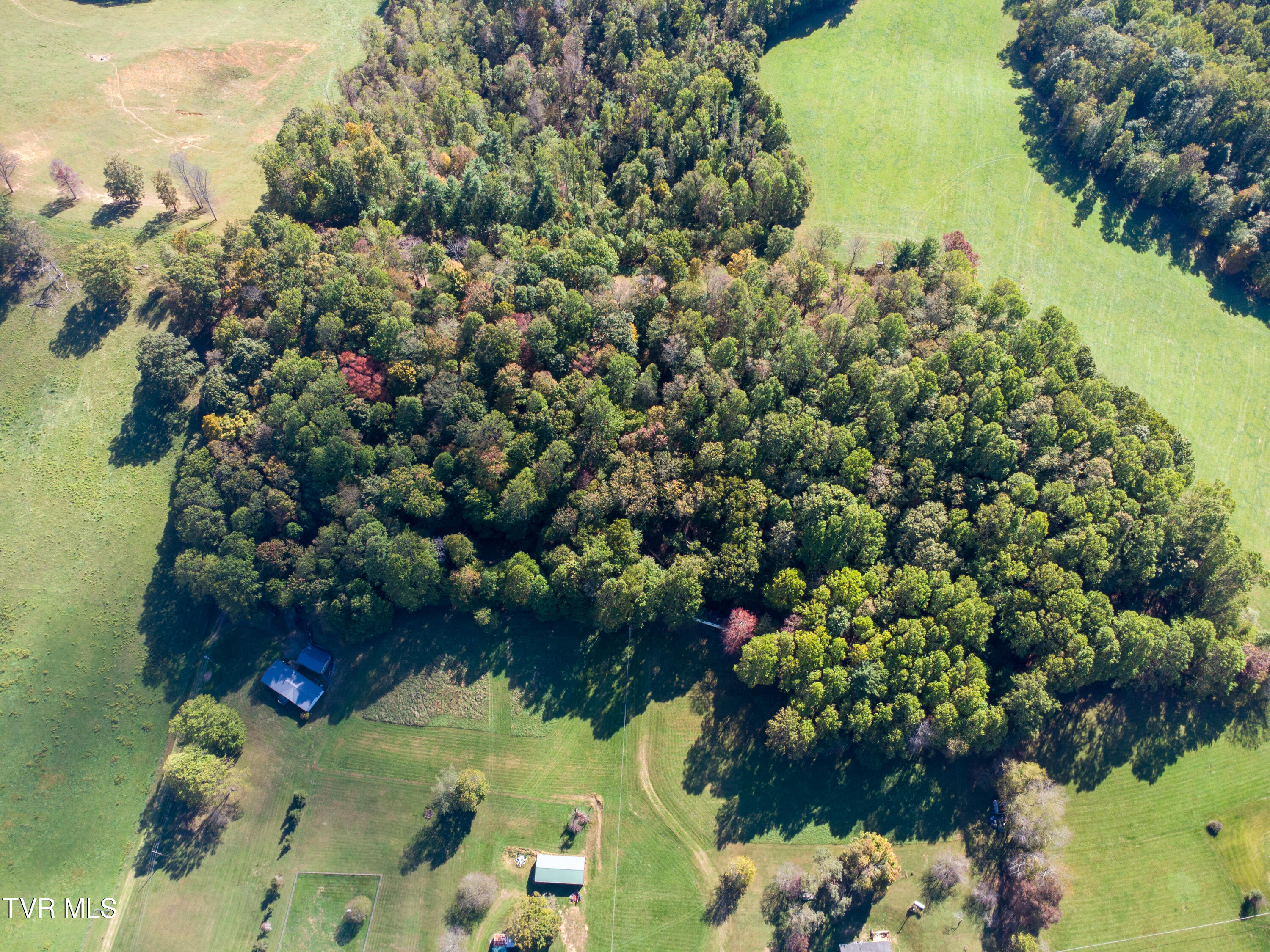 24752 Walden Road, Abingdon, Virginia image 3