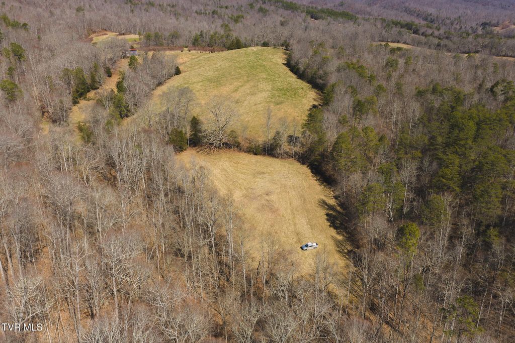 Photo of 50 Sutton Hollow Road, Sneedville, TN 37869 (MLS # 9993102)