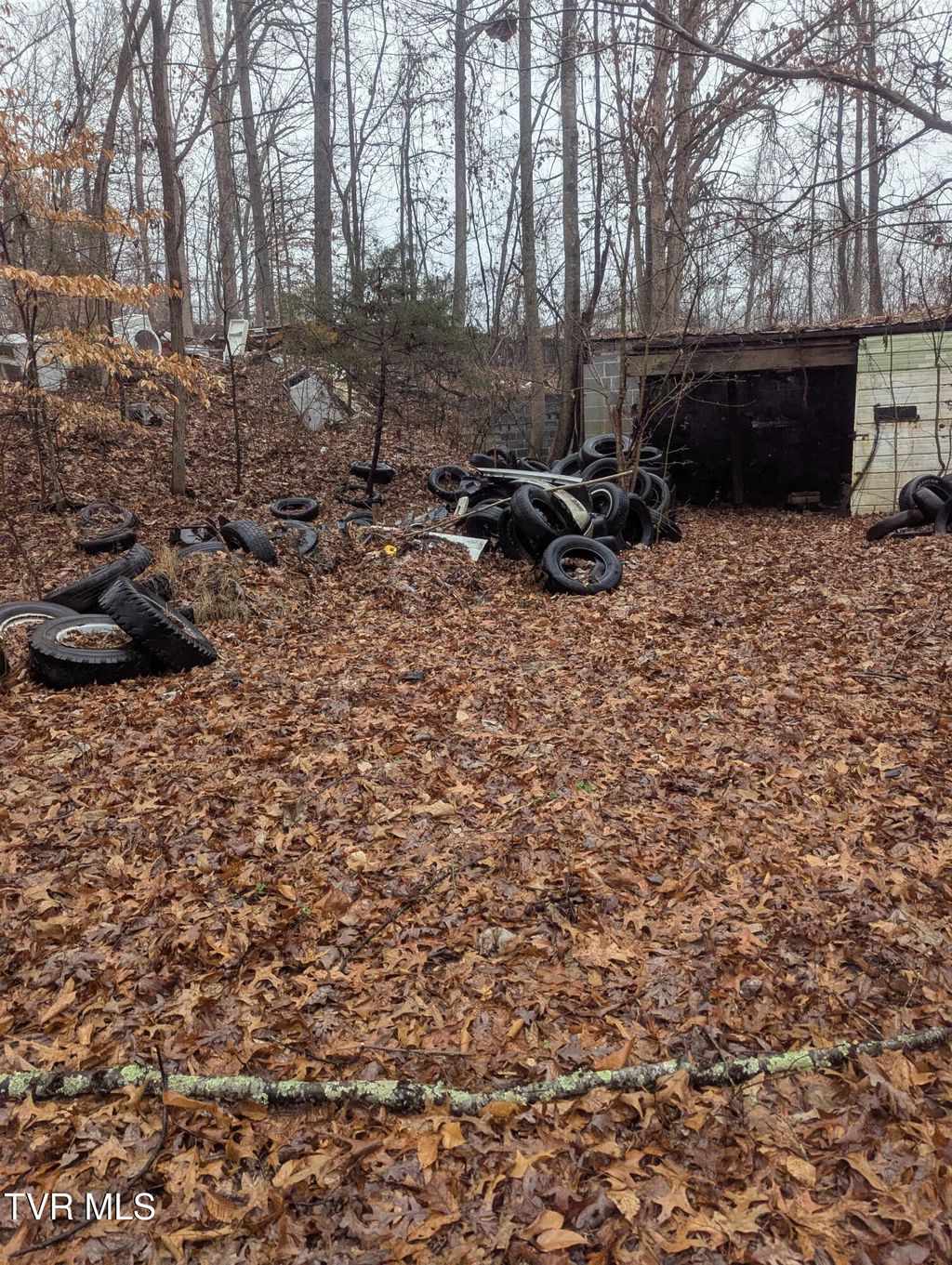 Photo of 0 Off Ross Camp Ground Road, Church Hill, TN 37642 (MLS # 9990304)