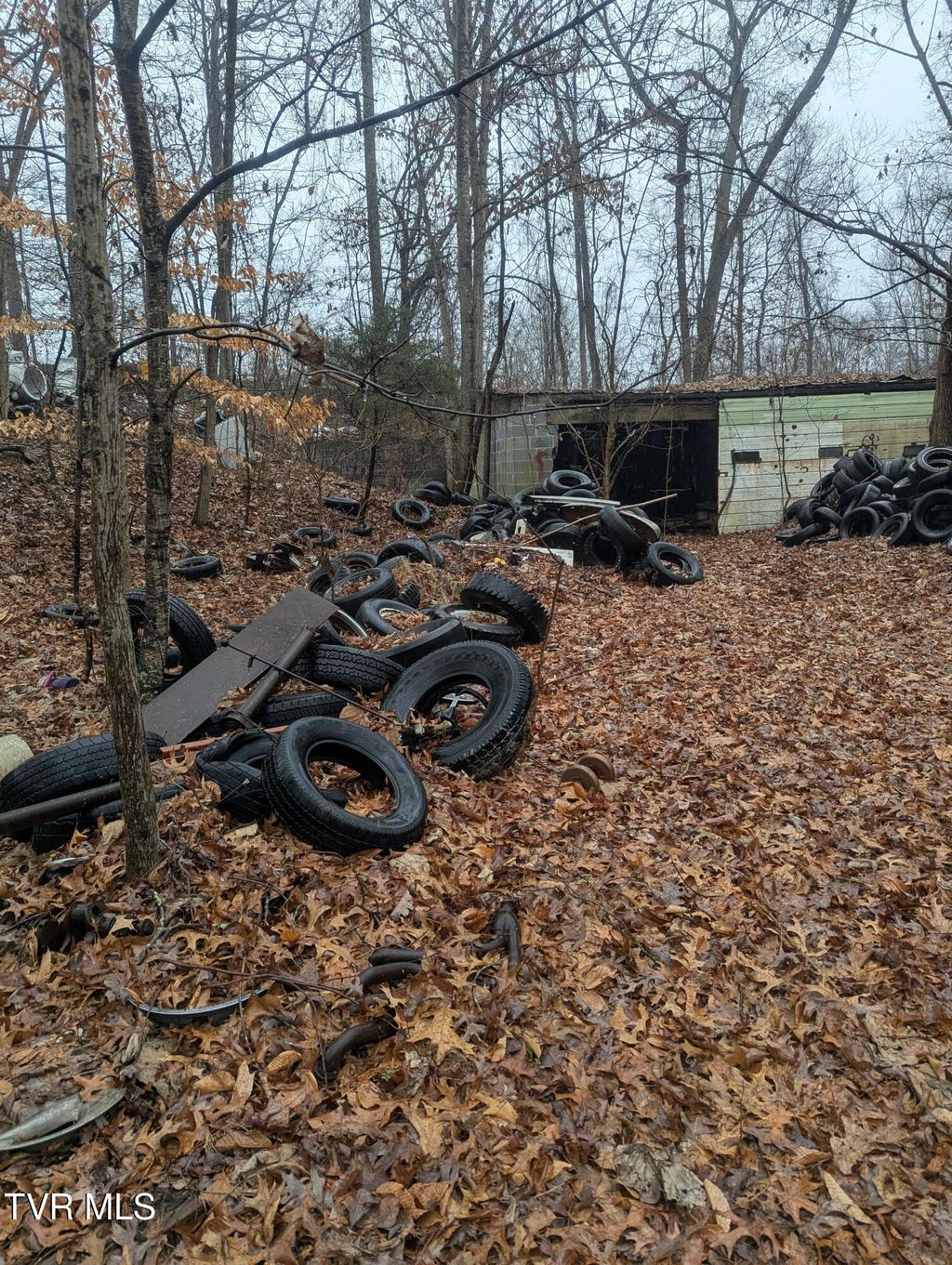 Photo of 0 Off Ross Camp Ground Road, Church Hill, TN 37642 (MLS # 9990304)