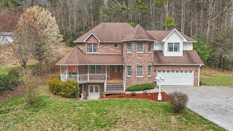 Photo of 515 Scioto Road, Unicoi, TN 37692 (MLS # 9992700)