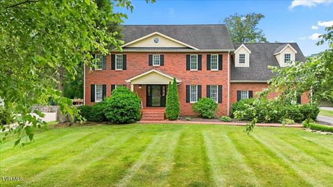 Photo of 223 Colony Drive, Bristol, TN 37620 (MLS # 9996783)