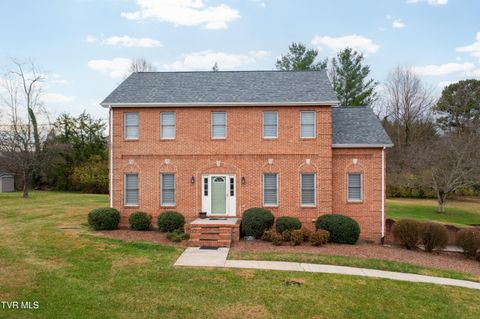 Photo of 285 Chesterfield Drive, Kingsport, TN 37663 (MLS # 9989852)