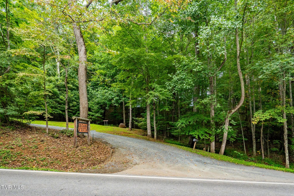 Photo of 16 High Point Drive, Roan Mountain, TN 37687 (MLS # 10000435)