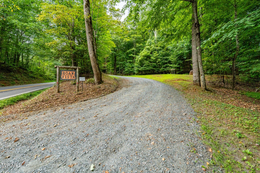 Photo of 16 High Point Drive, Roan Mountain, TN 37687 (MLS # 10000435)