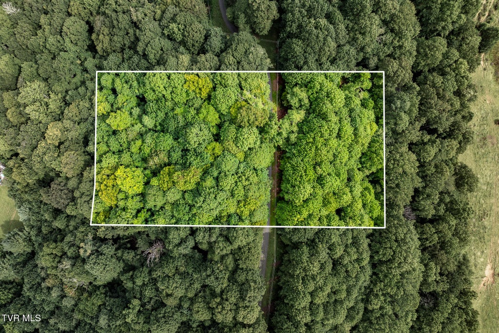 Photo of 16 High Point Drive, Roan Mountain, TN 37687 (MLS # 10000435)