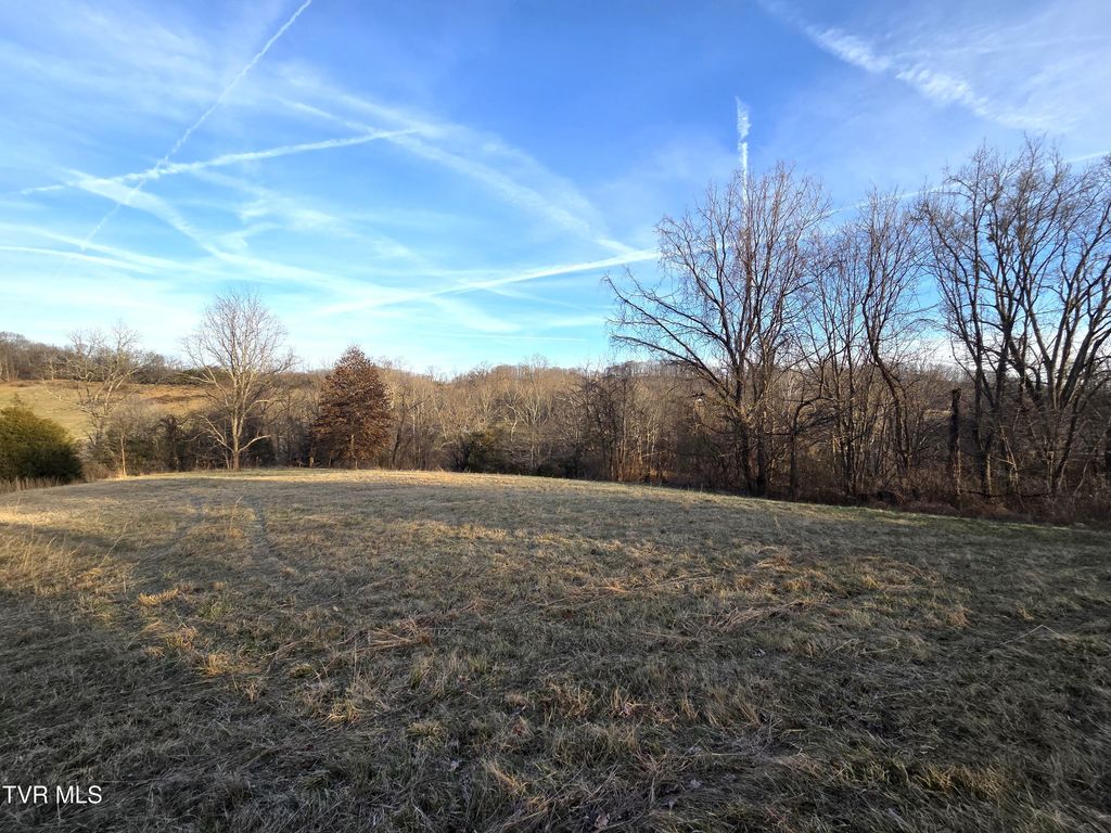 Photo of 112 Eisenhower Road, Jonesborough, TN 37659 (MLS # 9993810)