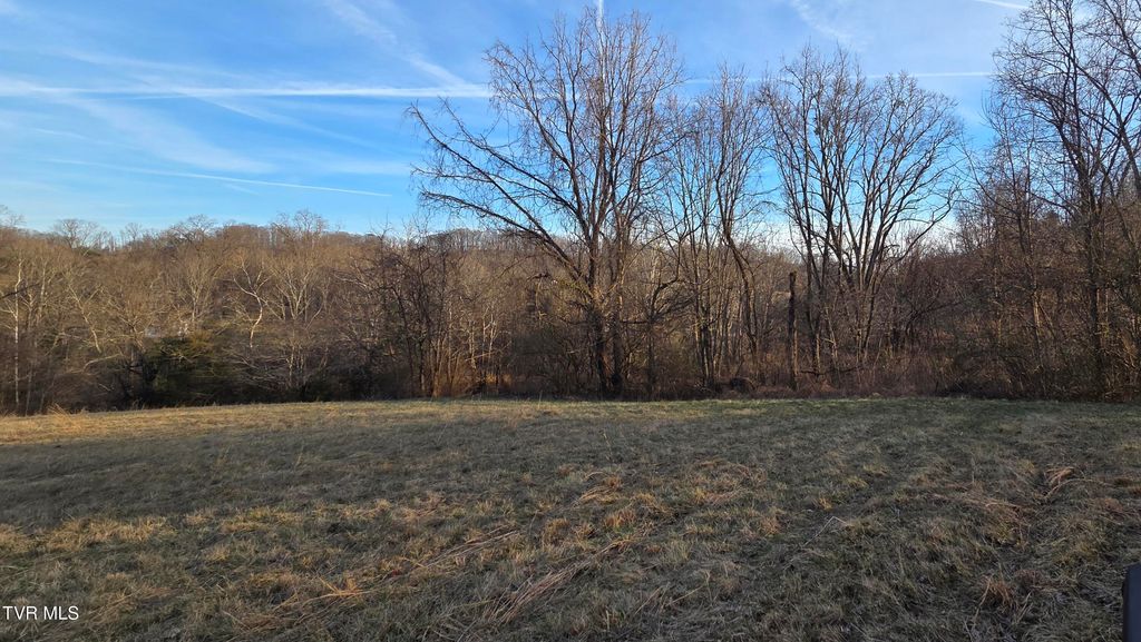 Photo of 112 Eisenhower Road, Jonesborough, TN 37659 (MLS # 9993810)