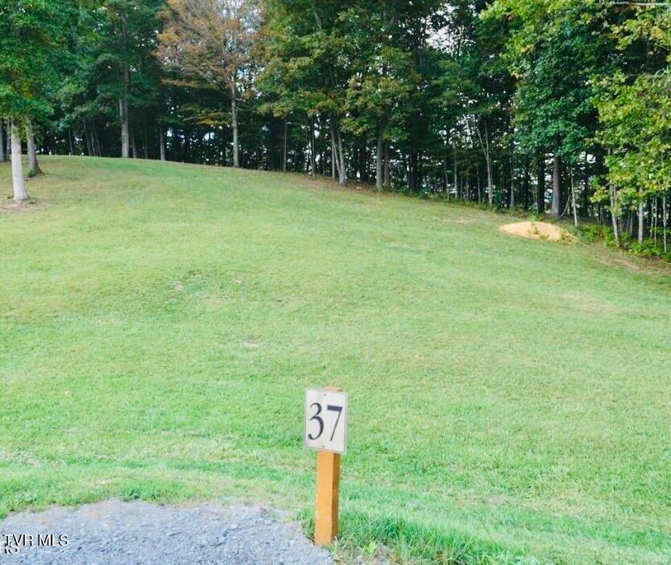 Photo of 37 Draft Road, Butler, TN 37640 (MLS # 9996174)