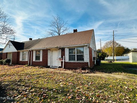 Photo of 365 Sewanee Avenue, Kingsport, TN 37660 (MLS # 9988082)