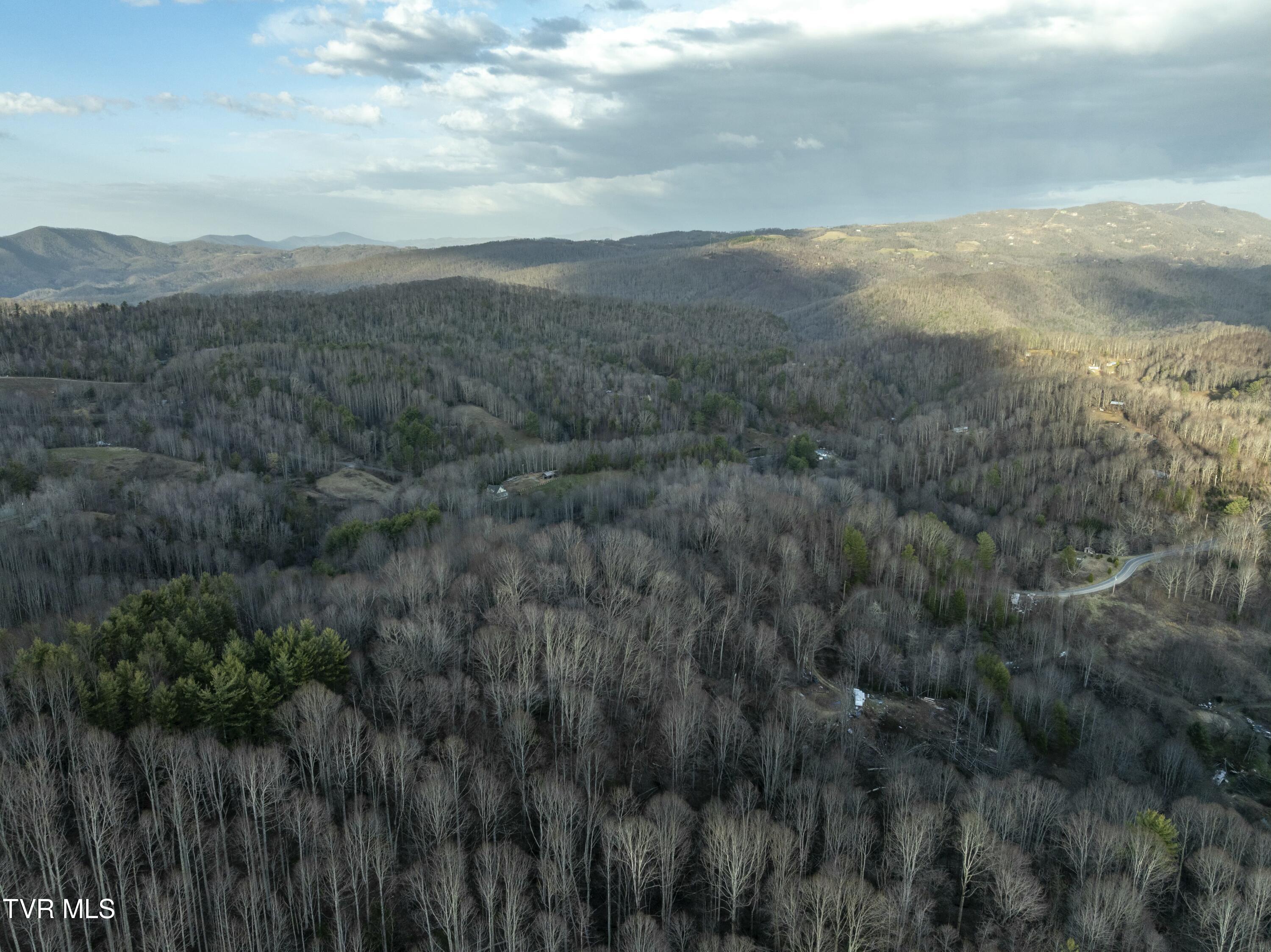 Tbd Buck Mountain Road, Roan Mountain, Tennessee image 7