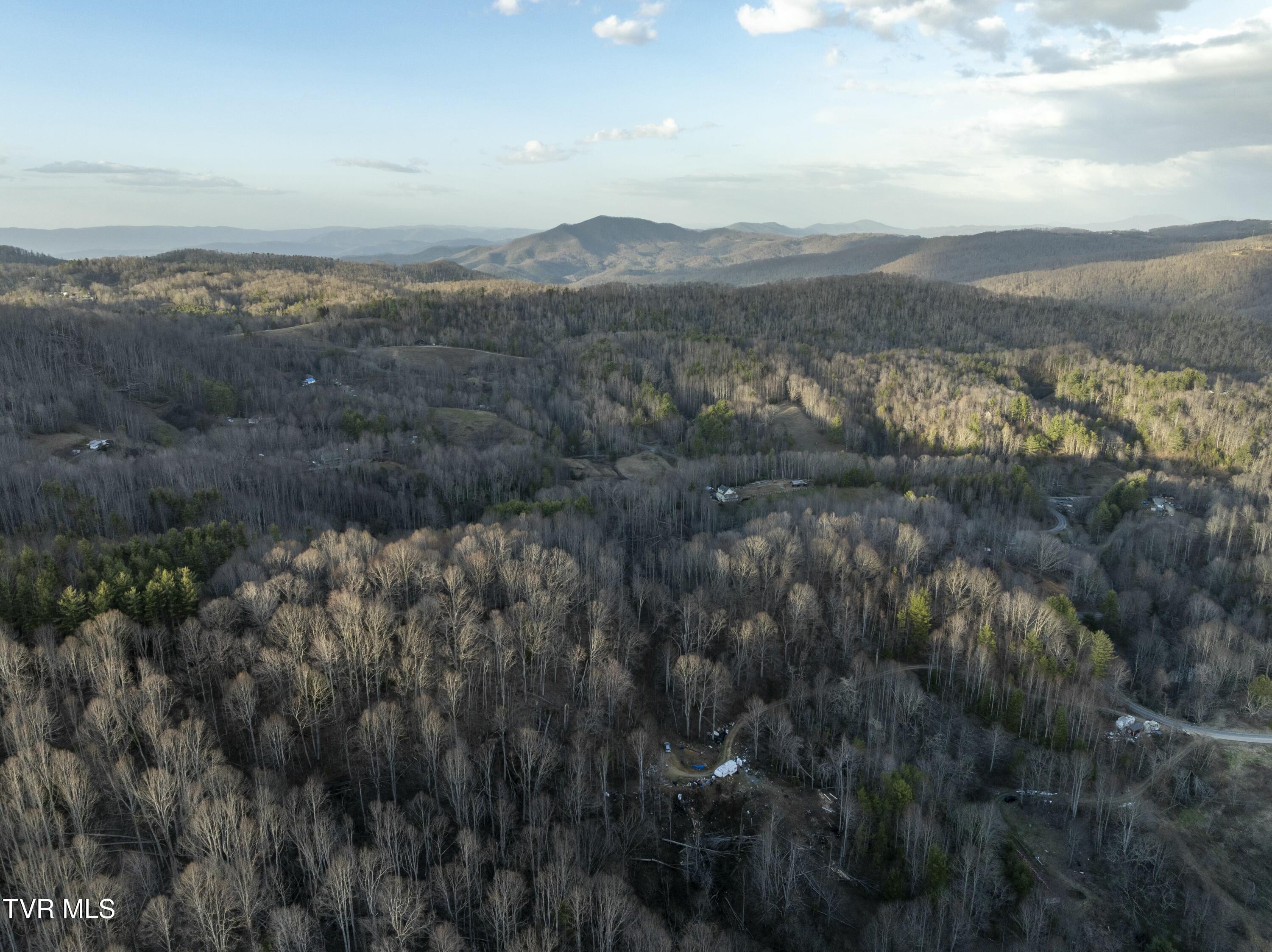 Tbd Buck Mountain Road, Roan Mountain, Tennessee image 17