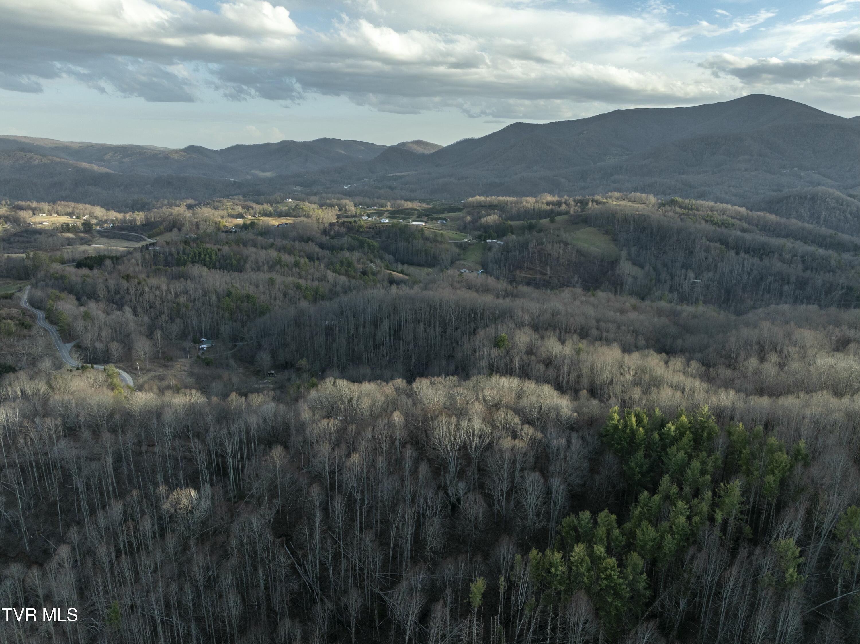 Tbd Buck Mountain Road, Roan Mountain, Tennessee image 10